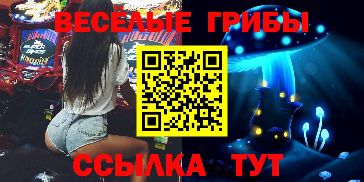 Псилоцибиновые грибы Psilocybe  Вход с VPN  Псилоцибиновые грибы MAGIC MUSHROOMS  Ачинск 
